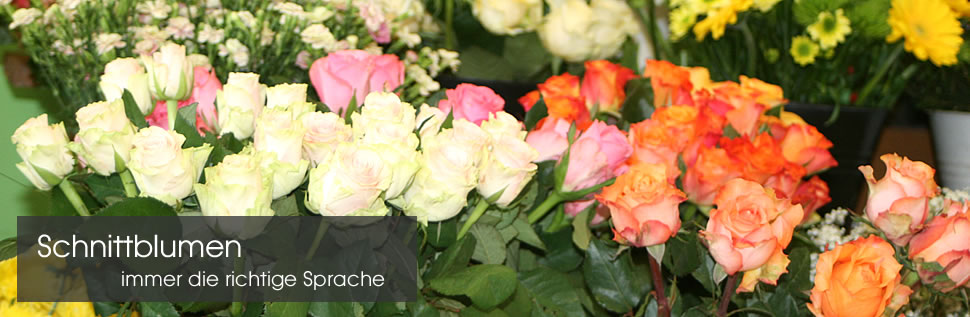 Blumen Mendig